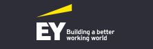 EY: Driving Global Innovation and Excellence in Professional Services