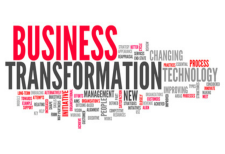 Delivering a Business Transformation Program on a Limited Budget